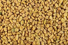 Close-up of organic fenugreek seeds