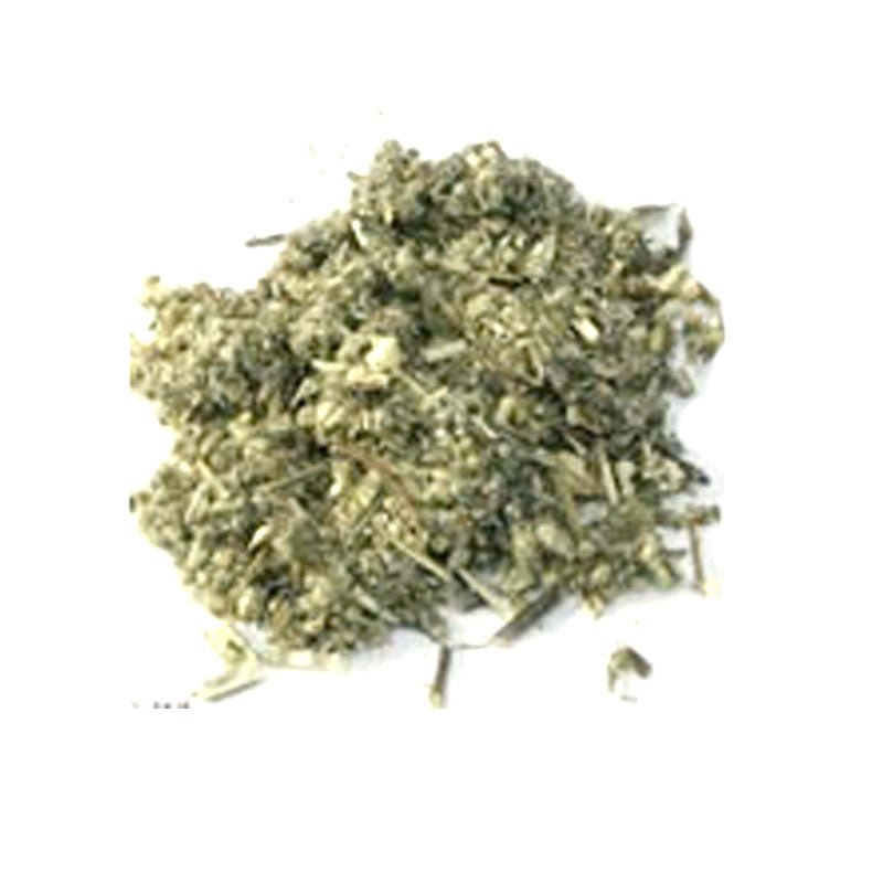 Pile of organic dried mugwort leaf, cut and sifted, on a white background
