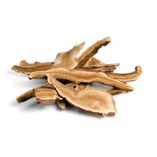 Organic dried reishi mushroom slices on a white background