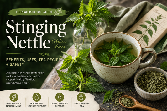 Stinging Nettle Benefits