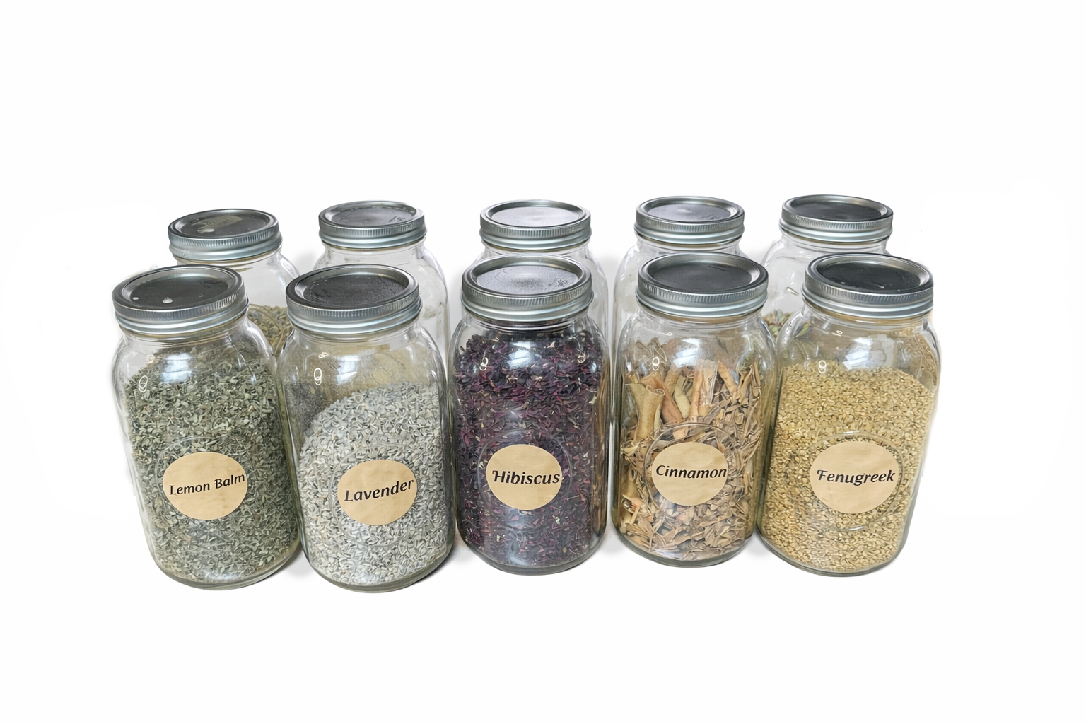 Herbal Essentials Bundle with 10 glass jars of loose herbs and spices, including lemon balm, lavender, hibiscus, cinnamon, and fenugreek, arranged in two rows on a white background